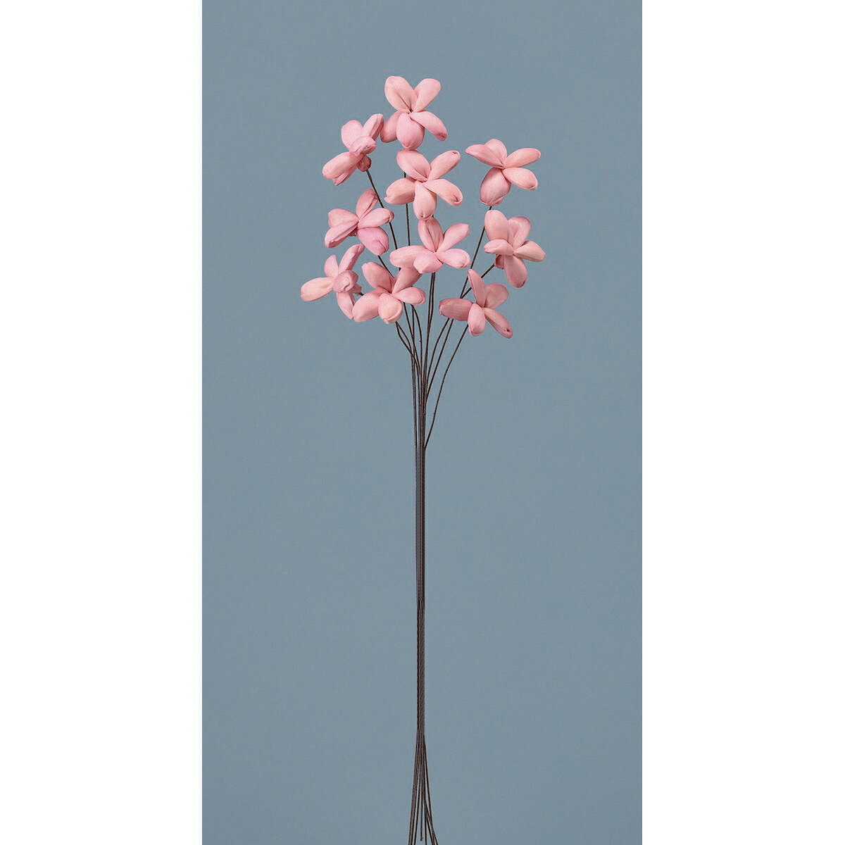 【サイズ】約38cmL/1束（10本）花径:約4cm【ブランド】大地農園［その他サイズ］［重量］［入数］［材質］天然素材［規格］［特徴］ソラの木の芯部分を薄くむいた素材で、ひとつずつ、ていねいに手作りしたお花です。持ち歩いても軽くてくずれにくいため、成人式や卒入学の花束にも最適です。］［使用方法］［注意事項］※出来上がりのサイズや、花びらの枚数に差がでる場合があります。・ドライフラワーは天然素材を乾燥して作られているため、一点一点に個体差があります。入荷により色目やサイズが掲載画像と異なる場合があります。【はなどんやお取り扱い商品について】■はなどんや掲載商品には、在庫品とメーカーお取寄商品がございます。掲載納期をご参考にされて下さい。即日発送の納期が記載されている商品でも、当店在庫が欠品となった場合には、お取り寄せにてご手配を進めさせていただきます。※コンビニ支払い・銀行振込等、前払い決済でのご注文については即日発送の対象外となります。■他店舗でも販売をしているため、また、メーカーの実在庫欠品等によりご注文後にご用意ができなくなる場合がございます。その場合にはメールにてご案内をさせて頂きます。■分納は承っておりません。一番遅い納期の商品に合わせて発送となります。/【VAR：32496】date20260104/jasm-01ドライフラワー ソラフラワー その他ソラフラワーソーラーフラワー 花材 ハンドメイド材料 クラフト素材 夏 秋 お正月 クリスマス ブライダル 成人式 さくらの日 バラの日/【大地農園】