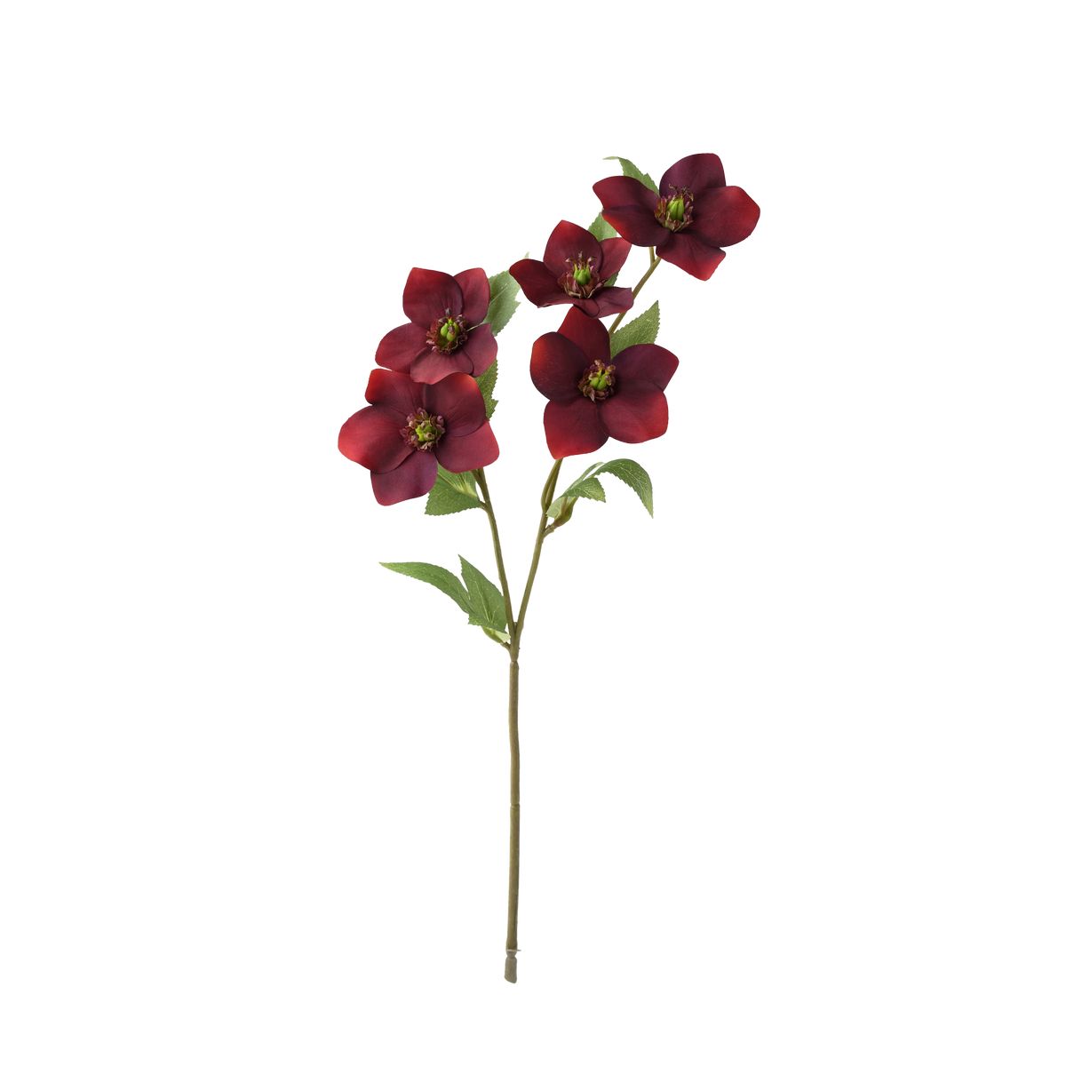 【サイズ】花径6.5〜9cm全長47cm【ブランド】パレ［その他サイズ］［重量］［入数］［材質］ポリウレタンワイヤー［規格］［特徴］［使用方法］［注意事項］・造花は人の手作業で作られており、一つ一つに生のお花同様の個体差があります。シワ・ほつれ等はリペアを施してご利用ください。・お花・実・葉は茎から取れる仕様になっているものが大半です。お届け時に取れてしまっている場合は付け戻してご利用下さい。【はなどんやお取り扱い商品について】■はなどんや掲載商品には、在庫品とメーカーお取寄商品がございます。掲載納期をご参考にされて下さい。即日発送の納期が記載されている商品でも、当店在庫が欠品となった場合には、お取り寄せにてご手配を進めさせていただきます。※コンビニ支払い・銀行振込等、前払い決済でのご注文については即日発送の対象外となります。■他店舗でも販売をしているため、また、メーカーの実在庫欠品等によりご注文後にご用意ができなくなる場合がございます。その場合にはメールにてご案内をさせて頂きます。■分納は承っておりません。一番遅い納期の商品に合わせて発送となります。/【VAR：32237】date20250902造花 アーティフィシャルフラワー クリスマスローズフェイクフラワー フラワーアレンジ花材 おしゃれ ハンドメイド材料 クラフト素材 装飾 ディスプレイ 春 夏 秋 クリスマス ブライダル 成人式 母の日/クリスマス;【パレ】