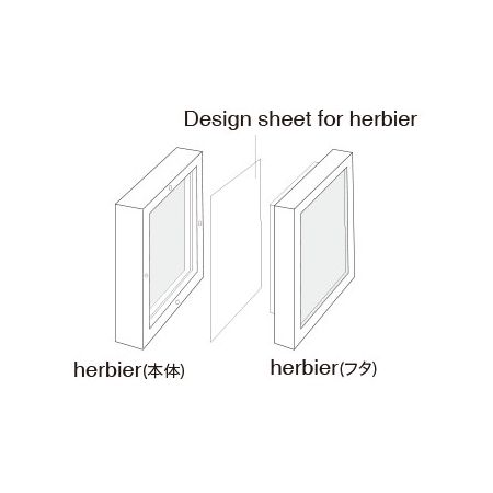 クレイ/Design Sheet for herbier CLEAR/860-919-000【01】[10個] 花器、リース 花器・花瓶 フラワーフレームフラワーべース 資材 可愛い おしゃれ 春 お月見 お正月 クリスマス 成人式 ミモザの日