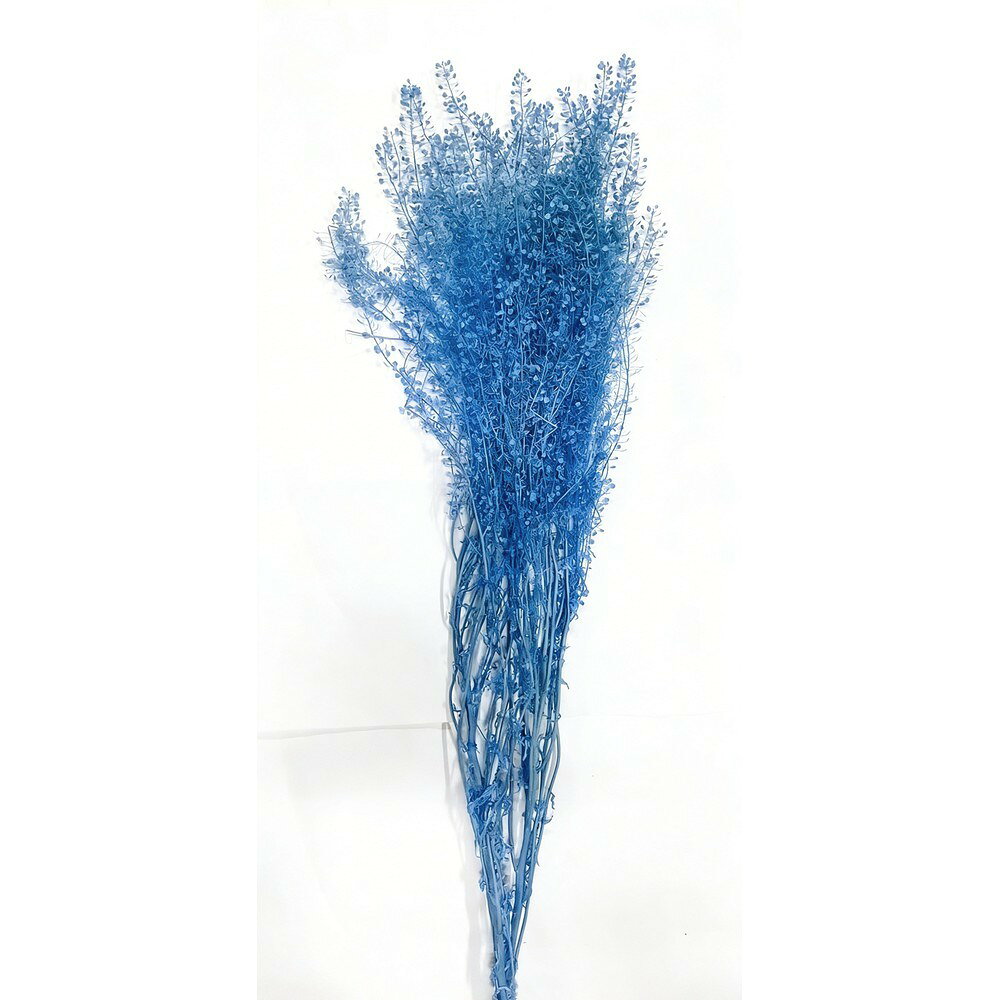 【サイズ】約40〜60cm【ブランド】GARDEN PALETTE MONO［その他サイズ］［重量］［入数］［材質］［規格］［特徴］［使用方法］［注意事項］ロットにより色ブレ（画像より薄い・濃い等）がある可能性があります。掲載画像は参考になります。【GARDEN PALETTE MONOの商品について】海外加工品のためロットによる色ブレ（掲載画像と比べて濃い・薄いなど）が起こりやすい商品です。掲載画像は参考としてご覧ください。・プリザーブドフラワーは染料の染みや漏れが発生する場合があります。ご使用時も色移りにご注意ください。・自然素材につき色の吸い上げや着色には個体差があり、入荷により色目やサイズが多少異なる場合があります。・商品により個体差がありますが、プリザーブド薬液独特のにおいが強く感じられる場合があります。・亀裂や欠け等に関しましては、必要に応じて修復してご利用ください。【はなどんやお取り扱い商品について】■はなどんや掲載商品には、在庫品とメーカーお取寄商品がございます。掲載納期をご参考にされて下さい。即日発送の納期が記載されている商品でも、当店在庫が欠品となった場合には、お取り寄せにてご手配を進めさせていただきます。※コンビニ支払い・銀行振込等、前払い決済でのご注文については即日発送の対象外となります。■他店舗でも販売をしているため、また、メーカーの実在庫欠品等によりご注文後にご用意ができなくなる場合がございます。その場合にはメールにてご案内をさせて頂きます。■分納は承っておりません。一番遅い納期の商品に合わせて発送となります。date20260727プリザーブドフラワー プリザーブドグリーン 葉物花材 ハンドメイド材料 クラフト素材 夏 秋 冬 お供え お正月 クリスマス ハロウィン ブライダル バラの日/【GARDEN PALETTE MONO】