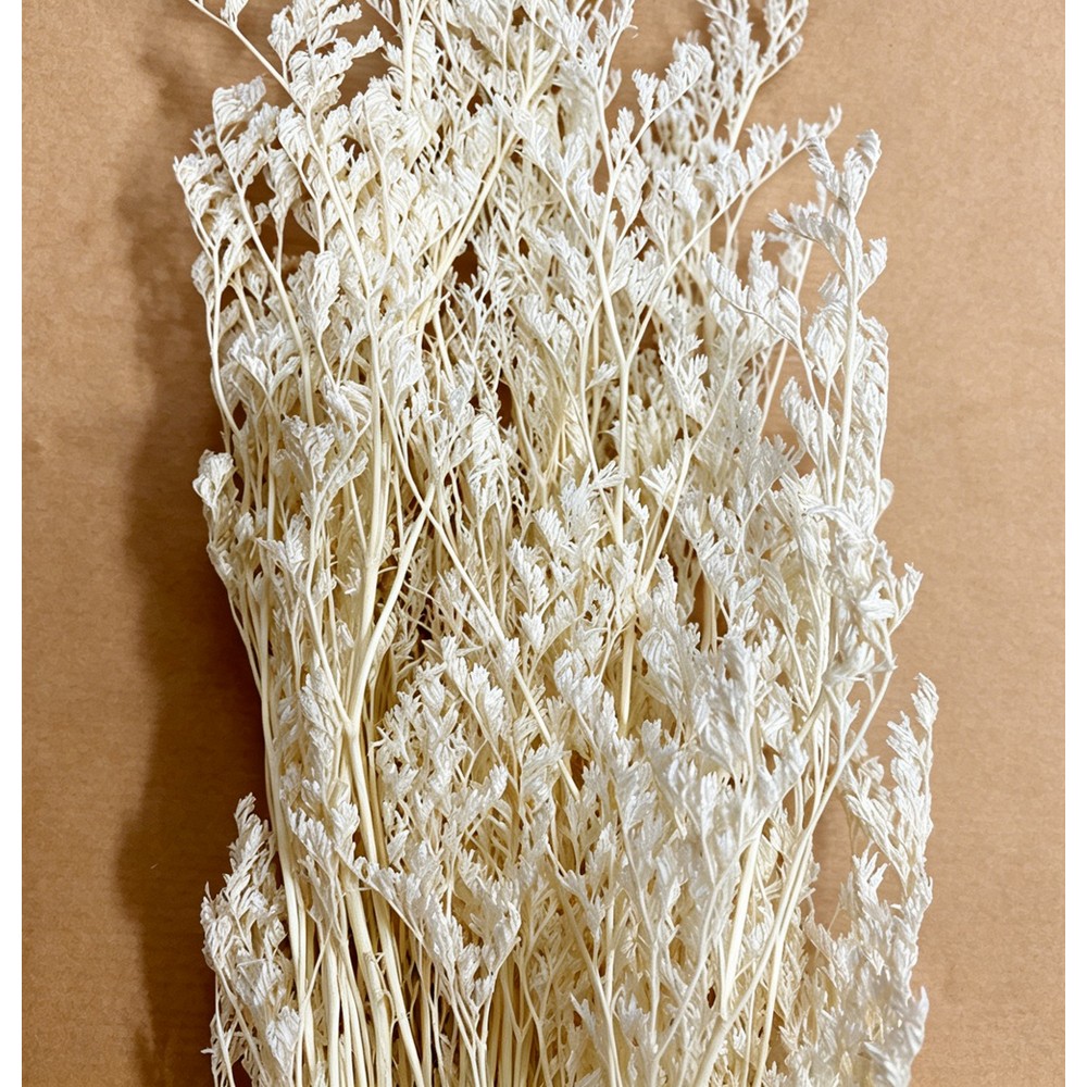 【サイズ】約50cm【ブランド】GARDEN PALETTE MONO［その他サイズ］［重量］［入数］［材質］［規格］［特徴］［使用方法］［注意事項］【GARDEN PALETTE MONOの商品について】海外加工品のためロットによる色ブレ（掲載画像と比べて濃い・薄いなど）が起こりやすい商品です。掲載画像は参考としてご覧ください。・ドライフラワーは天然素材を乾燥して作られているため、一点一点に個体差があります。入荷により色目やサイズが掲載画像と異なる場合があります。【はなどんやお取り扱い商品について】■はなどんや掲載商品には、在庫品とメーカーお取寄商品がございます。掲載納期をご参考にされて下さい。即日発送の納期が記載されている商品でも、当店在庫が欠品となった場合には、お取り寄せにてご手配を進めさせていただきます。※コンビニ支払い・銀行振込等、前払い決済でのご注文については即日発送の対象外となります。■他店舗でも販売をしているため、また、メーカーの実在庫欠品等によりご注文後にご用意ができなくなる場合がございます。その場合にはメールにてご案内をさせて頂きます。■分納は承っておりません。一番遅い納期の商品に合わせて発送となります。date20260727ドライフラワー ドライフラワー花材 スターチス花材 ハンドメイド材料 クラフト素材 /【GARDEN PALETTE MONO】