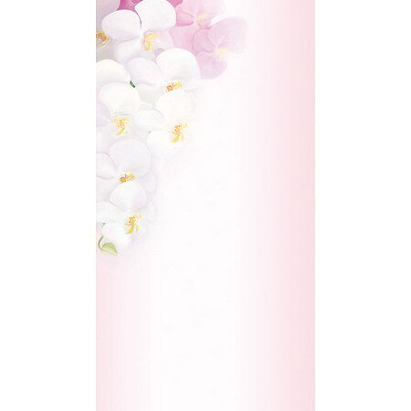 【サイズ】150×80mm、紙厚0.288mm【ブランド】チキュウグリーティングス入数：20枚インクジェット・レーザープリンタ対応。※プリンタにより印刷に適さない場合がございますので、ご使用前にお手持ちのプリンタの取り扱い説明書をご確認ください。※紙厚には製造都合により若干の差が生じます。【はなどんやお取り扱い商品について】■はなどんや掲載商品には、在庫品とメーカーお取寄商品がございます。掲載納期をご参考にされて下さい。即日発送の納期が記載されている商品でも、当店在庫が欠品となった場合には、お取り寄せにてご手配を進めさせていただきます。※コンビニ支払い・銀行振込等、前払い決済でのご注文については即日発送の対象外となります。■他店舗でも販売をしているため、また、メーカーの実在庫欠品等によりご注文後にご用意ができなくなる場合がございます。その場合にはメールにてご案内をさせて頂きます。■分納は承っておりません。一番遅い納期の商品に合わせて発送となります。/【VAR：8692】4963328125205/20171013newラッピング用品 、梱包資材 メッセージカード 花名札/木札/立札包装用品 おしゃれ かわいい お供え お祝い/【チキュウグリーティングス】