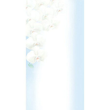 【サイズ】185×98mm、紙厚0.288mm【ブランド】チキュウグリーティングス入数：20枚インクジェット・レーザープリンタ対応。※プリンタにより印刷に適さない場合がございますので、ご使用前にお手持ちのプリンタの取り扱い説明書をご確認ください。※紙厚には製造都合により若干の差が生じます。0【はなどんやお取り扱い商品について】■はなどんや掲載商品には、在庫品とメーカーお取寄商品がございます。掲載納期をご参考にされて下さい。即日発送の納期が記載されている商品でも、当店在庫が欠品となった場合には、お取り寄せにてご手配を進めさせていただきます。※コンビニ支払い・銀行振込等、前払い決済でのご注文については即日発送の対象外となります。■他店舗でも販売をしているため、また、メーカーの実在庫欠品等によりご注文後にご用意ができなくなる場合がございます。その場合にはメールにてご案内をさせて頂きます。■分納は承っておりません。一番遅い納期の商品に合わせて発送となります。/【VAR：8694】4963328130391/20171013newラッピング用品 、梱包資材 メッセージカード 花名札/木札/立札包装用品 おしゃれ かわいい お供え お祝い/お供え;【チキュウグリーティングス】