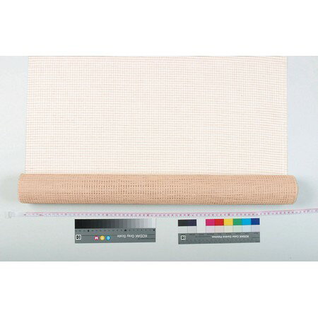 【サイズ】650mm×10m【ブランド】青山リボン縦と横の糸を変え、味のある風合いに仕上げたナチュラル系のラッピング用ネット。　素材：綿、レーヨン　材質：織布【はなどんやお取り扱い商品について】■はなどんや掲載商品には、在庫品とメーカーお取寄商品がございます。掲載納期をご参考にされて下さい。即日発送の納期が記載されている商品でも、当店在庫が欠品となった場合には、お取り寄せにてご手配を進めさせていただきます。※コンビニ支払い・銀行振込等、前払い決済でのご注文については即日発送の対象外となります。■他店舗でも販売をしているため、また、メーカーの実在庫欠品等によりご注文後にご用意ができなくなる場合がございます。その場合にはメールにてご案内をさせて頂きます。■分納は承っておりません。一番遅い納期の商品に合わせて発送となります。/【VAR：1346】クリーム//8516-19/4962616296238ラッピング用品 、梱包資材 ラッピングペーパー(包装紙) その他包装紙(ロール)包装用品 おしゃれ かわいい お正月 クリスマス バラの日/【青山リボン】
