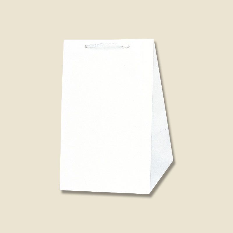 HEIKO/広口チャームバッグ L−2 10枚入り/006442201【07】 ラッピング用品 、梱包資材 ラッピング袋・プレゼント袋 手提げ紙袋包装用品 おしゃれ かわいい お正月 母の日 バラの日