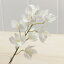 即日 【造花】YDM/シンビジューム/FA6646-CR造花(アーティフィシャルフラワー) 造花 花材「さ行」 シンビジューム 手作り 材料