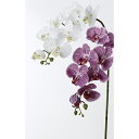 【造花】アスカ/A-32409 コチョウランX7 つぼみX3 #001 ホワイト/A-32409-001【01】 造花(アーティフィシャルフラワー) 造花 花材...