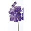 【造花】アスカ/A-32628 バンダオーキッドX7 NO.006 ラベンダ−/A-32628-006【01】【取寄】《 造花(アーティフィシャルフラワー) 造花 花材「ら行」 ラン(蘭)・オーキッド 》