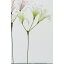 【造花】アスカ/A-32573 ネリネリリィピックX3 #052B ライトグリ−ン/A-32573-052B【01】【01】【取寄】《 造花(アーティフィシャルフラワー) 造花 花材「な行」 ネリネ・ダイヤモンドリリー 》