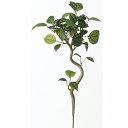 【人工観葉植物】アスカ/A-41926 ベンジャミン #051A グリ−ン/A-41926-051A【01】 造花(アーティフィシャルフラワー) 造...
