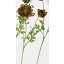 【造花】アスカ/ラナンキュラス×2 つぼみ×1 NO.051G グリ−ンレッド/A-32664【01】【取寄】《 造花(アーティフィシャルフラワー) 造花 花材「ら行」 ラナンキュラス 》