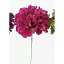 即日 【造花】アスカ/ダリアピック #026 フッシャ/A-31451造花(アーティフィシャルフラワー) 造花 花材「た行」 ダリア 手作り 材料