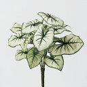【造花】アスカ/カラジュームブッシュ ヴァリゲイトグリーン/A-41769-51V【01】 造花(アーティフィシャルフラワー) 造花葉物、フェイクグリーン その他の造花葉物・フェイクグリーン