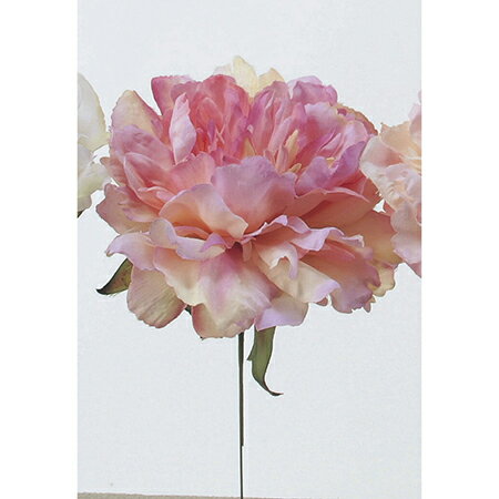 【造花】アスカ/ピオニーピック　クリームピンク/A-31454-3C【07】【取寄】 造花（アーティフィシャルフラワー） 造花 花材「さ行」 シャクヤク（芍薬）・ボタン（牡丹）・ピオニー