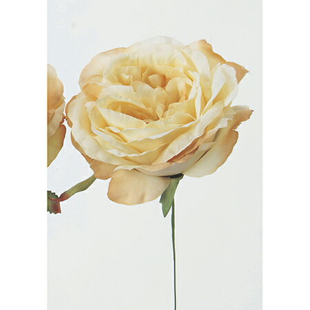 【造花】アスカ/ファニーローズピック クリームホワイト/A-31455-11【01】【取寄】 造花（アーティフィシャルフラワー） 造花 花材「は行」 バラ