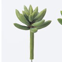 【造花】アスカ/サッカレンテン　フロストグリーン/A-41263-51F【01】【取寄】 造花（アーティフィシャルフラワー） 造花葉物、フェイクグリーン 多肉植物
