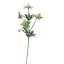 即日 【造花】アスカ/エリンジウム(アザミ)×3 ホワイトグリーン/A-36036-52《 造花(アーティフィシャルフラワー) 造花 花材「あ行」 エリンジューム 》