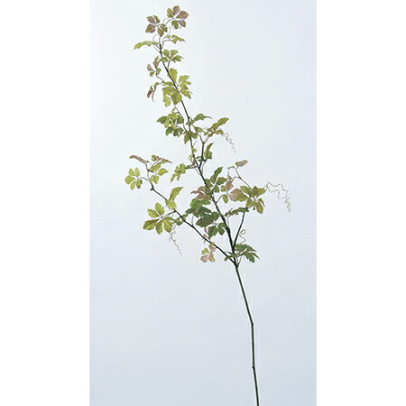 【造花】アスカ/ミカニア　スプリンググリーン/A-40943-51S【01】【取寄】 造花（アーティフィシャルフラワー） 造花枝物 その他の造花枝物