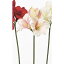 【造花】アスカ/アマリリス×3 ピンクホワイト/A-32174-3W《 造花(アーティフィシャルフラワー) 造花 花材「あ行」 アマリリス 》