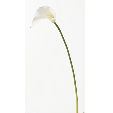 【造花】アスカ/カラーリリィ　ホワイト/A-32223-1【01】【取寄】 造花（アーティフィシャルフラワー） 造花 花材「か行」 カラー 1