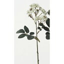 【造花】アスカ/ポンポンローズ×11 ホワイトグリーン/A-31959-52【01】【取寄】 造花（アーティフィシャルフラワー） 造花 花材「は行」 バラ