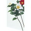 即日★・【造花】アスカ/A−73008 椿X2 01(ホワイト)/72-73008-1【00】《 造花(アーティフィシャルフラワー) 造花 花材「た行」 ツバキ(椿) 》