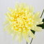【造花】FIAN/マム/FM0020YEL【01】 造花(アーティフィシャルフラワー) 造花 花材「か行」 キク(菊)・ピンポンマム 626円