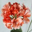 即日 【造花】FIAN/ベゴニア/FM0027-OR《 造花(アーティフィシャルフラワー) 造花 花材「は行」 その他「は行」造花花材 》