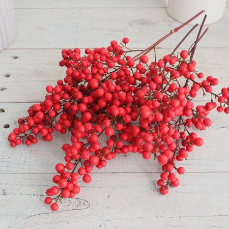 【生花】南天の実【OT】※届日限定：12/9～[5本]