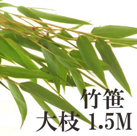 /ͽۼͼѡݺ1.5m١ˢɤ߲ꡧ7/1-7/2[1]