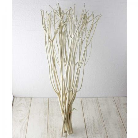 【生花/即日】【ドライ】三又（ナチュラル/皮むき） SS70 10本[1束]