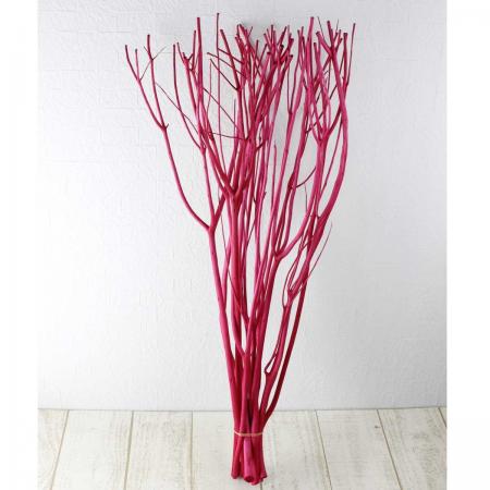 【生花/即日】【ドライ】京友禅染みつまた（若紫）SS70 10本[1束]