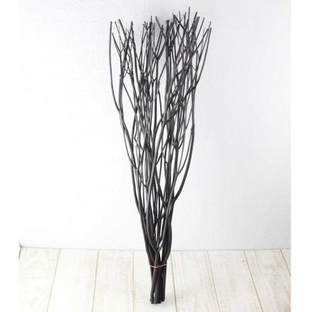 【生花/即日】【ドライ】京友禅染みつまた（黒紅） SS70 10本[1束]