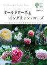 【サイズ】”著者名： 後藤 みどり発売日： 2014-03-20ISBN： 978-4-416-61416-7書名（かな）： ガーデンライフシリーズ オールドローズアンドイングリッシュローズ判型： [ 縦 : 257mm ] [ 横 : 190mm ]副書名： この1冊を読めば系統、交配、栽培などすべてがわかるページ数： 208定価： 本体2400 円＋税バラの中でも特に人気の高いオールドローズとイングリッシュローズの栽培方法や剪定の仕方などを系統・樹形別に詳しく解説した決定版。代表的な品種カタログや基礎知識はもちろんのこと、系統、樹形、交配、栽培など様々な視点からオールドローズとイングリッシュローズの魅力を紹介していきます。よくわかる栽培12か月カレンダー、地域別カレンダー、ツール紹介、オールドローズとイングリッシュローズガーデンのデザイン、病害虫対策、、寒さ対策、剪定方法、土壌改良、無農薬を求める人へのアドバイス、仕立て方、歴史、入手先など、文字通り“この1冊があればオールドローズ&イングリッシュローズのすべてがわかる””バラ愛好家必見の1冊です。 【chapter1 系統・タイプ別図鑑 剪定方法】基本の剪定方法、オールドローズの系統・樹形別剪定法と品種図鑑、原種(スピーシーズ)図鑑、イングリッシュローズの剪定法と品種図鑑など【chapter2 12か月のワークカレンダー&ツール】オールドローズ&イングリッシュローズのガーデンデザイン、地域別カレンダー、土壌改良、寒さ対策、栽培12か月カレンダー、ツール紹介など【chapter3 病害虫対策】基本の道具、殺虫・殺菌・展着剤、服装や散布方法など、病害虫一覧、減農法・無農薬栽培、農薬一覧【chapter4 オールドローズ&イングリッシュローズの歴史】オールドローズ&イングリッシュローズの歴史、おすすめのローズナーセリー&ローズガーデン、品種INDEX【ご注文にあたっての注意事項】・こちらの商品は直送商品です。他の商品とは同梱してご注文頂けません。・出版社より直送となりますので、代引決済はご利用頂けません。・お届け日は順次発送となりますのでご指定いただけません。・こちらの商品はSTEP割引や各種クーポンの割引、資材5400円以上送料無料の対象外となります。”-