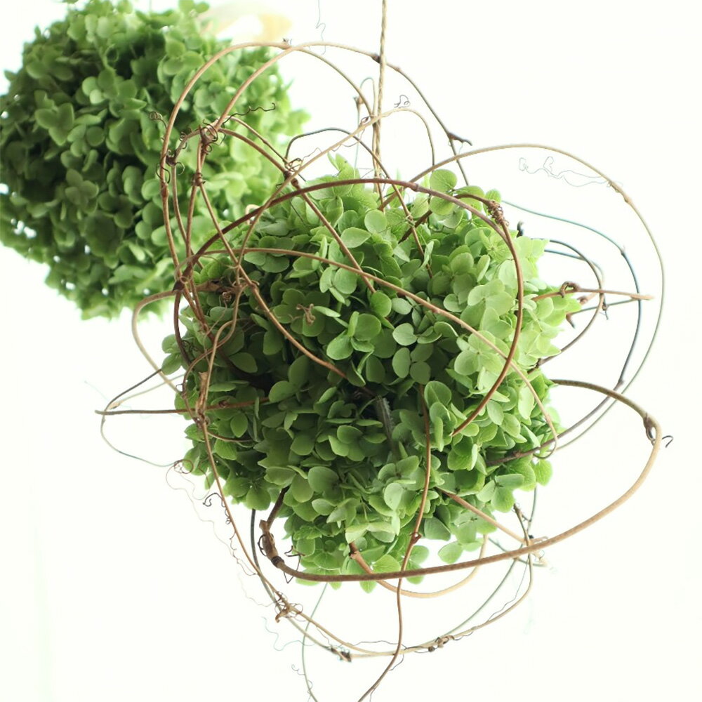 【生花】はなどんやキット/紫陽花アナベルのハンギングボール（1個分）[1組]※届日限定：予約1週間前