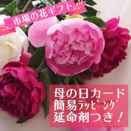 【生花】簡易ラッピング付き★芍薬ピンクミックス10本セット（母の日カードつき）※届日限定:5/7以降 1セット