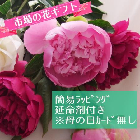 【生花】簡易ラッピング付き★芍薬ピンクミックス10本セット（母の日カードなし）※届日限定:5/7以降[1セット]