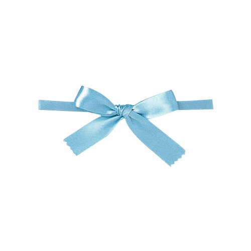 青山リボン/リーガルタイドボウ（タイツキ）　13X100ケイリ #009/7432-9【01】 リボン 加工リボン タイ..