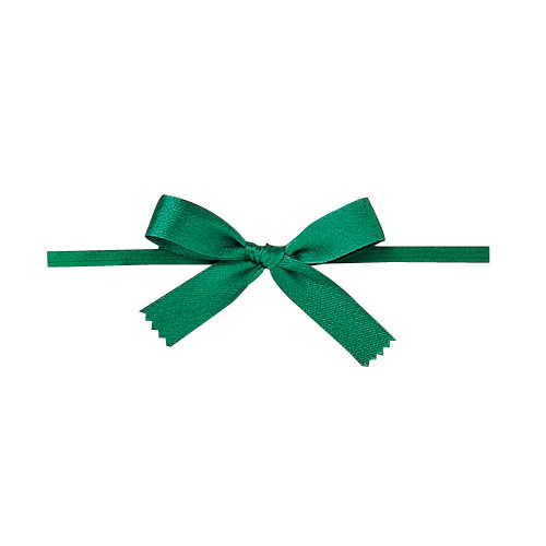 青山リボン/リーガルタイドボウ（タイツキ）　13X100ケイリ #010/7432-10【01】 リボン 加工リボン タイ＋リボン