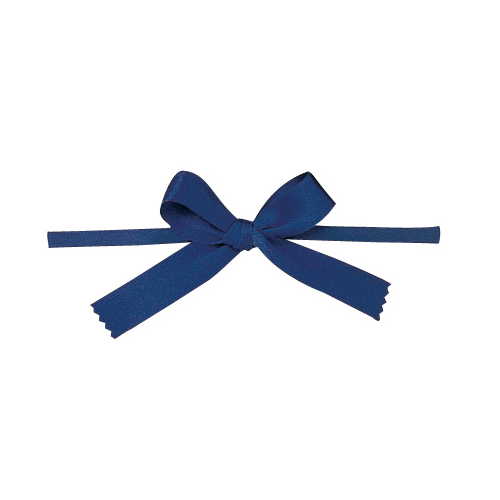 青山リボン/リーガルタイドボウ（タイツキ）　13X100ケイリ #022/7432-22【01】 リボン 加工リボン タ..