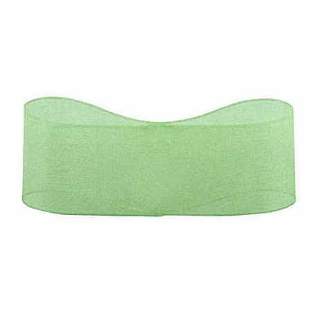 青山リボン/スーパーオーガンジー　25X30 #005/200-5【01】 リボン オーガンジーリボン プレーンオーガ..