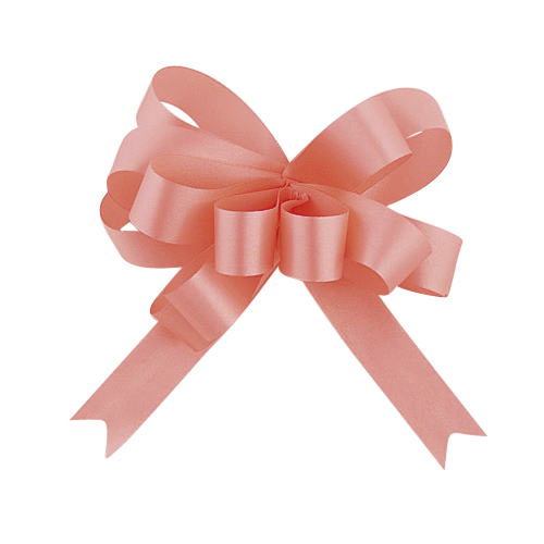 青山リボン/ループボウカスタムサテン　13X50マイ #024/6896-24【01】 リボン ワンタッチリボン ループ..