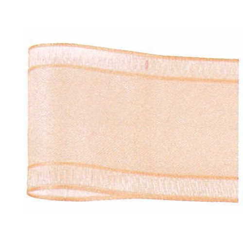 青山リボン/ルーズエッジオーガンジー　22X30 #024/395-24【01】 リボン オーガンジーリボン デザイン..