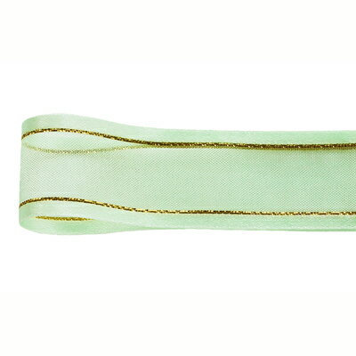 【サイズ】22mmx30m●素材：ナイロン●硬さ：中間●注意：こちらの商品は受注生産品のため、他商品と同梱注文いただくことはできません。ご注文から発送まで約3週間程度のお日にちを頂戴いたします。・ロールタイプのリボンに関しましては製造工程上やむを得ず繋ぎ目が入る場合がございます。・製造ロットの違いにより、色に誤差が生じる場合がございます。【はなどんやお取り扱い商品について】■はなどんや掲載商品には、在庫品とメーカーお取寄商品がございます。掲載納期をご参考にされて下さい。即日発送の納期が記載されている商品でも、当店在庫が欠品となった場合には、お取り寄せにてご手配を進めさせていただきます。※コンビニ支払い・銀行振込等、前払い決済でのご注文については即日発送の対象外となります。■他店舗でも販売をしているため、また、メーカーの実在庫欠品等によりご注文後にご用意ができなくなる場合がございます。その場合にはメールにてご案内をさせて頂きます。■分納は承っておりません。一番遅い納期の商品に合わせて発送となります。/【VAR：2147】グリーン//0509-44/4962616436023リボン オーガンジーリボン デザインオーガンジーリボン/