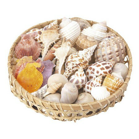 松野ホビー/インテリアシェル（カゴ入り）L/IC-69【01】[6セット] 花資材・フローリスト道具 デコレー..