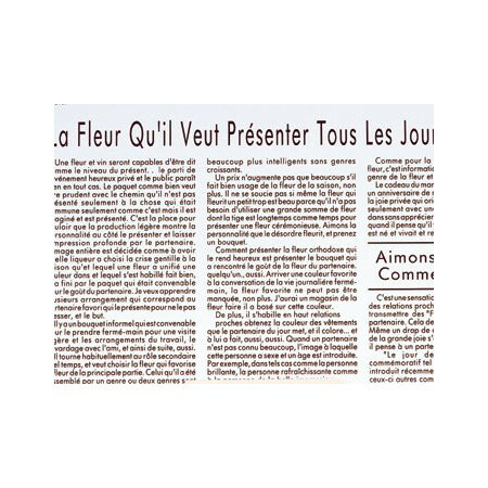 東京リボン/OPバッグジャーナル L 50枚 <21>チャコー/36-62209-21【01】 ラッピング用品 、梱包資材 ラッピング袋・プレゼント袋 ギフトパ...