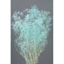 【プリザーブド】大地農園/ミニカスミ草 24g ブルー/00010-600【01】 プリザーブドフラワー プリザーブドフラワー花材 カスミ草