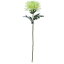 【造花】YDM/輪菊/FA6901-LGR【01】【取寄】《 造花(アーティフィシャルフラワー) 造花 花材「か行」 キク(菊)・ピンポンマム 》