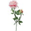 【造花】YDM/プリマピオニーショート/FA6895-P【01】|芍薬・牡丹【01】【01】【取寄】《 造花(アーティフィシャルフラワー) 造花 花材「さ行」 シャクヤク(芍薬)・ボタン(牡丹)・ピオニー 》