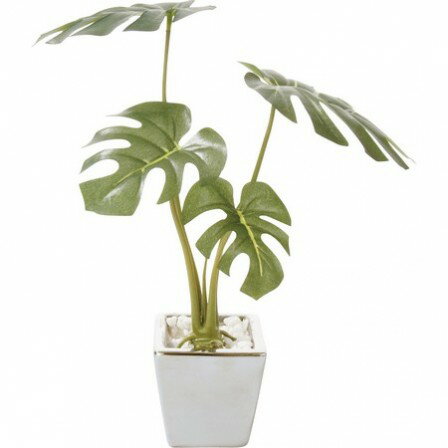 【造花】YDM/モンステラ　/GLA1173【01】 造花（アーティフィシャルフラワー） 造花葉物、フェイクグリーン モンステラ